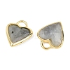 Natural Labradorite Faceted Pendants G-Z154-01G-07-2