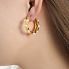 304 Stainless Steel Plastic Imitation Pearl Hoop Earrings FS-WGC87D0-03-1