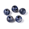 Natural Blue Spot Jasper European Beads G-Q602-09C-07-1