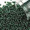 TOHO Round Seed Beads SEED-XTR11-0036-1