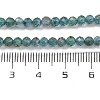 Natural Apatite Beads Strands G-F748-J01-02A-3