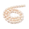 Natural Cultured Freshwater Pearl Beads Strands PEAR-I007-01D-07C-3