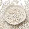 Baking Paint Glass Seed Beads SEED-F006-01A-15-2