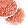 Imitation Cat Eye Glass Seed Beads SEED-N007-31C-1