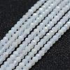 Natural Blue Chalcedony Bead Strands G-P270-2mm-01-1