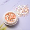 Holographic Nail Glitter Powder Flakes MRMJ-T063-361-M-4