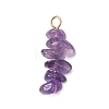 10Pcs 5 Colors 12 Constellation Natural Citrine & Natural Obsidian & Fluorite & Amethyst & Strawberry Quartz Pendants PALLOY-JF02839-02-3