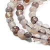 Natural Botswana Agate Beads Strands X-G-G143-A02-01-4