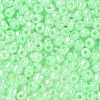 DIY Craft Beads 6/0 Ceylon Round Glass Seed Beads X-SEED-A011-4mm-144-2