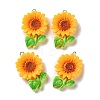 Opaque Resin Pendants LS-RESI-K050-01A-1