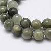 Natural Green Line Jasper Beads Strands G-G735-55-8mm-1