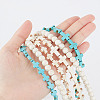 GOMAKERER 6 Styles Synthetic Turquoise Beads Strands Sets TURQ-GO0001-01-3