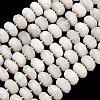 Natural Rainbow Moonstone Beads Strands G-L642-J06-01-2