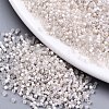 11/0 Grade A Baking Paint Glass Seed Beads X-SEED-S030-0371-1