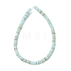Dyed Natural Freshwater Shell Beads Strands SH-CBA2978-05C-3