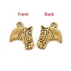 Tibetan Style Alloy Pendants LS-GLF10908Y-NF-2