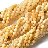 Natural Yellow Jade Beads Strands G-F591-17-8MM-2