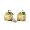 Opaque Resin Pendants RESI-G129-02-1