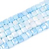 Anti-Tarnish Electroplate Glass Beads Strands GLAA-T025-4mm-10F-1