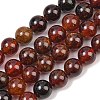 Natural Garnet Beads Strands G-H300-A01-02-2