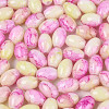 Glass Seed Beads SEED-T009-02A-3