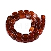 Natural Red Agate(Dyed & Heated) Beads Strands G-T138-104-2