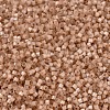 MIYUKI Delica Beads SEED-J020-DB1803-3