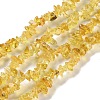 Spray Painted Transparent Glass Beads Strands X-GLAA-P060-01A-13-1