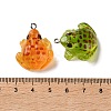 Luminous Transparent Resin Pendants RESI-F077-01P-4