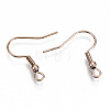 304 Stainless Steel Earring Hooks LS-X-STAS-S111-001RG-NR-1