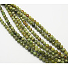 Natural Idocrase Beads Strands G-N165-7-2-5