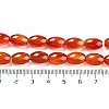 Natural Carnelian Beads Strands G080-3