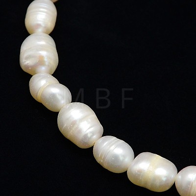 Natural Cultured Freshwater Pearl Beads Strands PEAR-L001-A-20-1