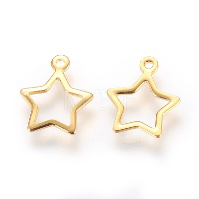 304 Stainless Steel Charms STAS-P227-21G-1
