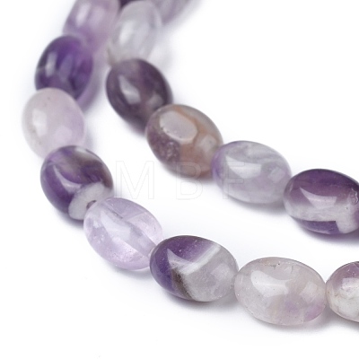 Natural Amethyst Beads Strands G-Z006-A16-1