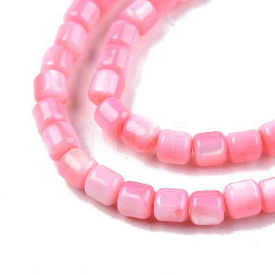 Natural Freshwater Shell Beads Strands X-SHEL-N003-33-A09-1