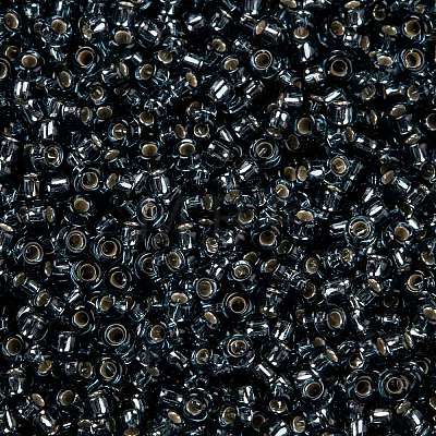 MIYUKI Round Rocailles Beads X-SEED-G009-RR2426-1