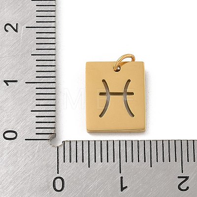 304 Stainless Steel Charms STAS-R001-03G-12-1