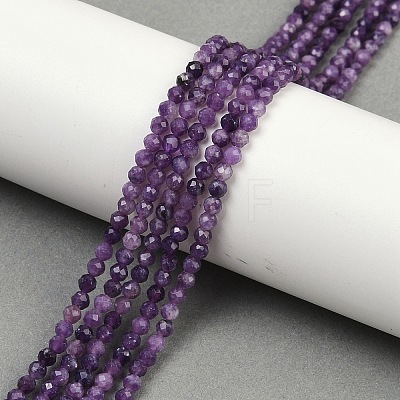 Natural Lepidolite/Purple Mica Stone Beads Strands G-C009-A26-1