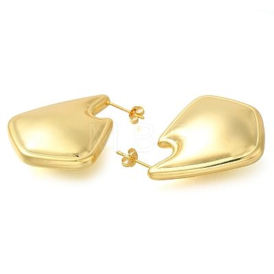 Rack Plating Brass Stud Earrings EJEW-I310-04G-1