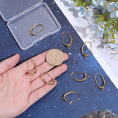 10Pcs Oval Brass Earring Hooks KK-BBC0028-97-1