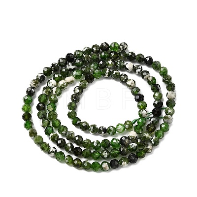 Natural Diopside Beads Strands LS-G-G188-B14-03-1