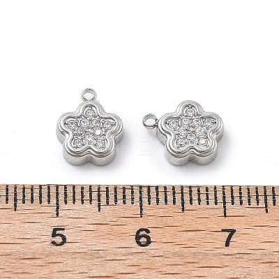 304 Stainless Steel Micro Pave Cubic Zirconia Charms STAS-Z121-46P-1