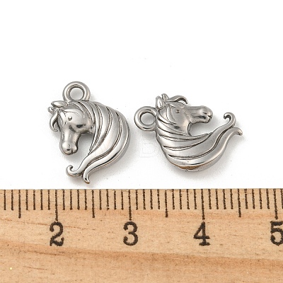 Non-Tarnish 304 Stainless Steel Charms STAS-N103-87P-1