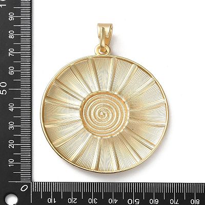 Alloy Big Pendants PALLOY-V009-13A-G-1