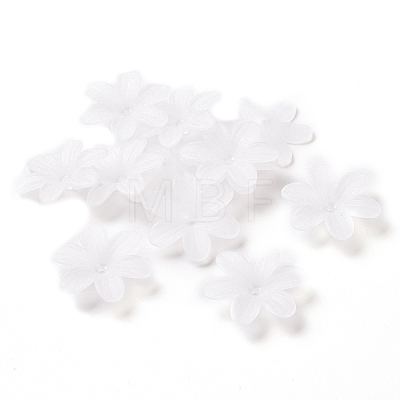 6-Petal Transparent Acrylic Bead Caps OACR-A017-14-1