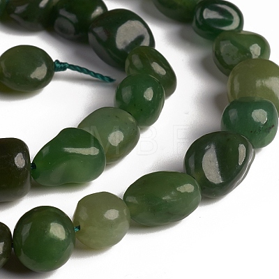 Natural Green Jasper Beads Strands G-D0002-D79-1