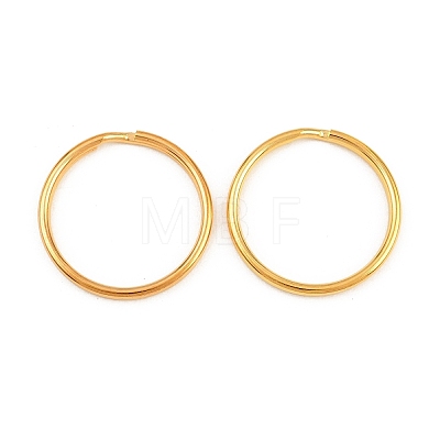 Iron Split Rings RN-CBAC079-02G-1