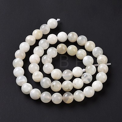 Natural White Moonstone Beads Strands G-F674-08-8mm-01-1