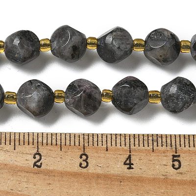 Natural Larvikite Beads Strands G-K387-A02-02-1